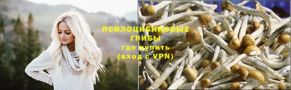 2c-b Ступино