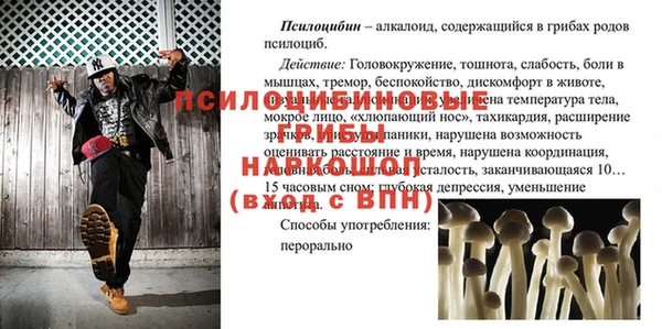 твердый Волоколамск