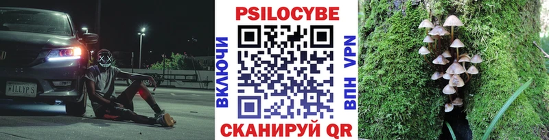 Галлюциногенные грибы Magic Shrooms ОМГ ОМГ онион Карачев